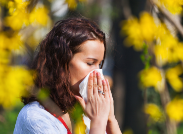 Alergia pyłkowa w sierpniu