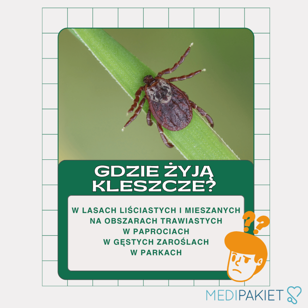 Borelioza - na co uważać?